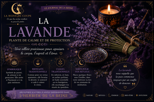 La Lavande