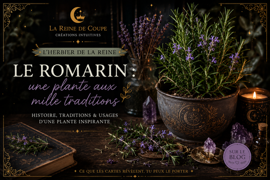 Le romarin : une plante aux mille traditions